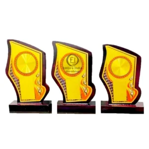 Modern Flame Cut Wooden Trophy Set of 3 Mementos | Awards | Shields – Manufacturer & Exporter | Empire India, Moradabad