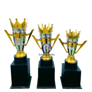 Crown Handle Metal Trophy Set | Royal Look | Empire India – Moradabad