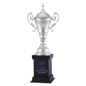Silver Embossed Cup Trophy with Handles | Classic Design | 6 Sizes Available | Empire India – Moradabad
