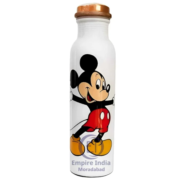 Meena Finish Copper Water Bottle – Kids Cartoon Print | Handcrafted Drinkware | Empire India