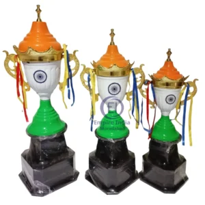 Tri-Color Champion Trophy with Ashoka Chakra & Handles Empire India - Moradabad